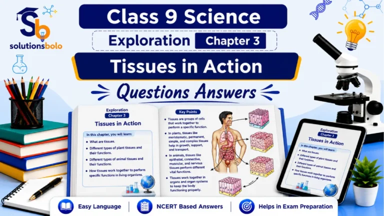 Class 9 Science Exploration Chapter 3 Tissues in Action Solutions Bolo