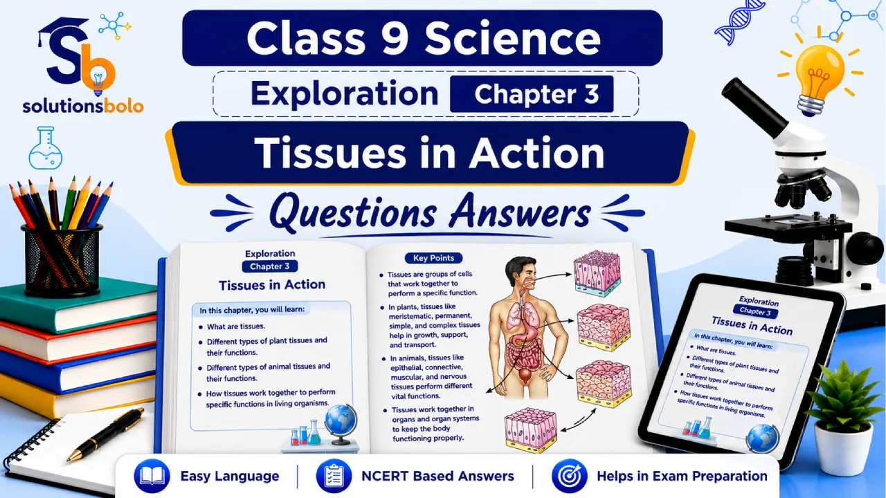 Class 9 Science Exploration Chapter 3 Tissues in Action Solutions Bolo